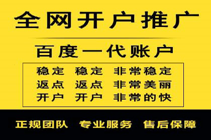 百度竞价SEM案例：揭秘高效广告投放技巧